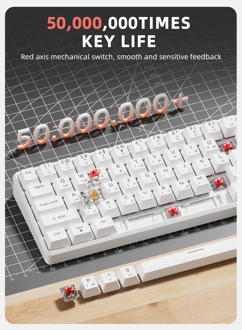 DuneVoyager Pc/Ps4 61 Keys Red Switch Mechanical Gaming Keyboard, With Arabic Language Gaming Keyboard, With Driver, Hot-Swappable, 16.8 Million Colors Backlit, 60% Mini , Removable Usb Wired, 525g Weight, All Keys Without Conflict Silent Rgb Color Suitable For Pc/Ps4/Xbox Gamers Mac - Image 2